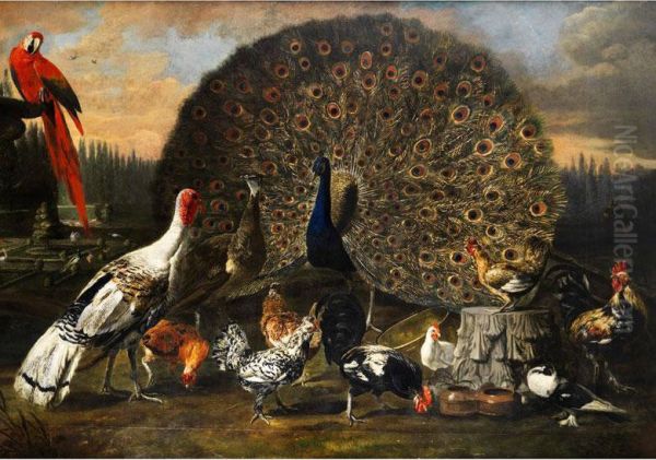 Rad Schlagender Pfau Zwischen Federvieh,truthahn Und Rotem Ara Oil Painting by David de Coninck