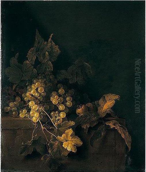 A Still Life Of White And Red Grapes On A Stone Ledge Oil Painting by Gregorius De Coninck