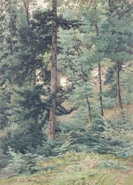 Vue De La Foret Vosgienne Oil Painting by Marie Ferdinand De Dartein