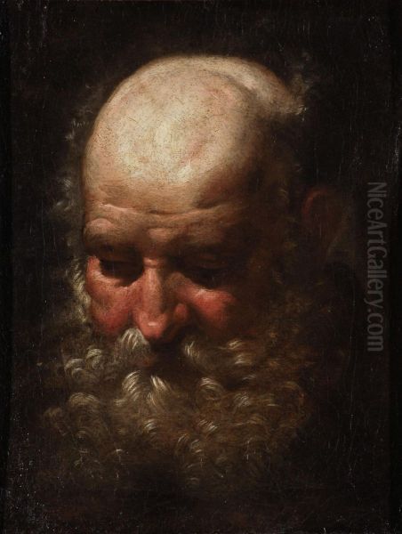 Uomo Barbuto Oil Painting by Orazio De Ferrari