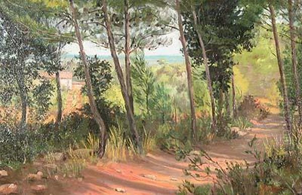 Camino En El Bosque. Oil Painting by Antoni De Ferrater