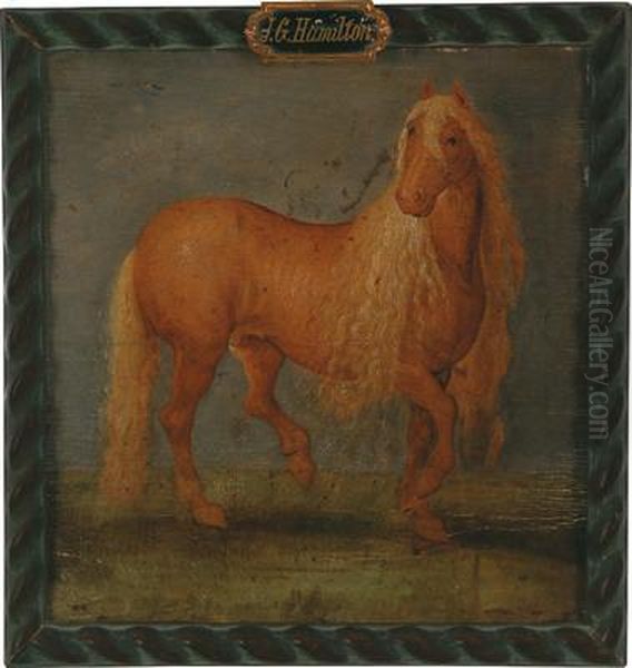 Ritratto Di Cavallo Oil Painting by Andries Jacobsz. Stock