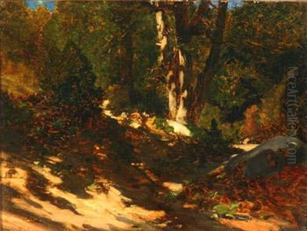 Sun Dappled Wooded Landscape Oil Painting by Marcelin De Groiseilliez