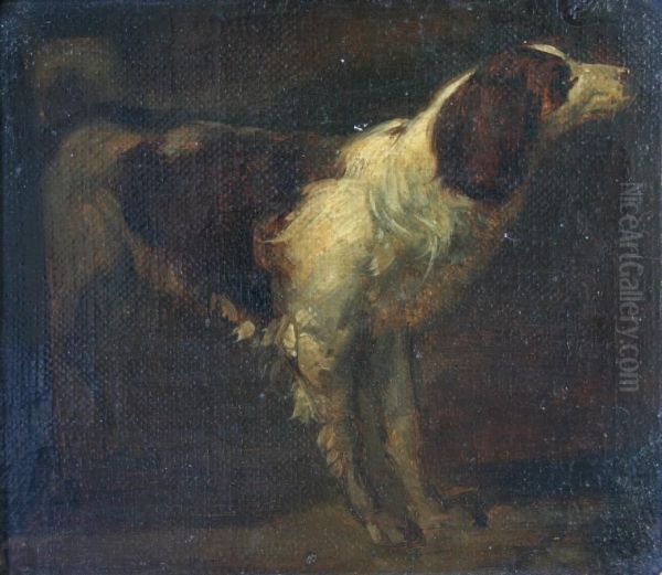 Study Of A Spaniel Oil Painting by Adriaen de Gryef