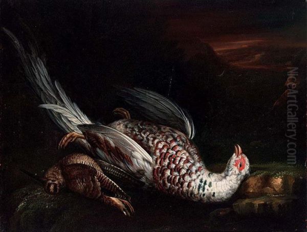 A Hunting Still Life With A Pheasant And A Woodcock Oil Painting by Franz de Hamilton