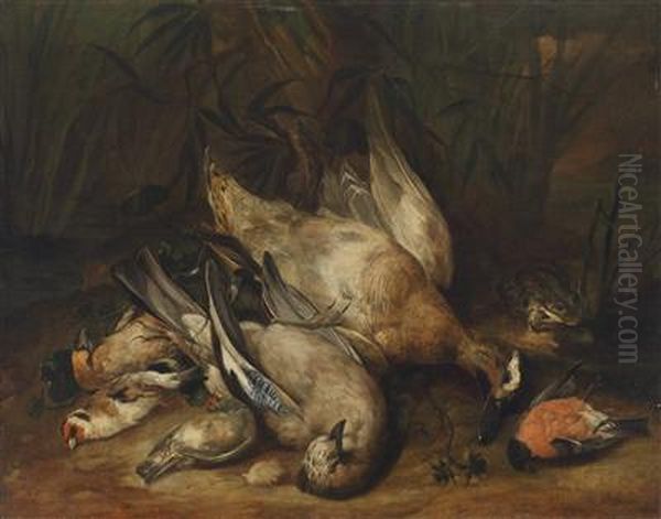 A Hunting Still Life With Shot Wildfowl Oil Painting by Johann Georg Hamilton