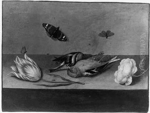 A Still Life With Dead Songbirds, A Rose, A Tulip, Butterflies Andother Insects On A Ledge Oil Painting by Willem De Heer