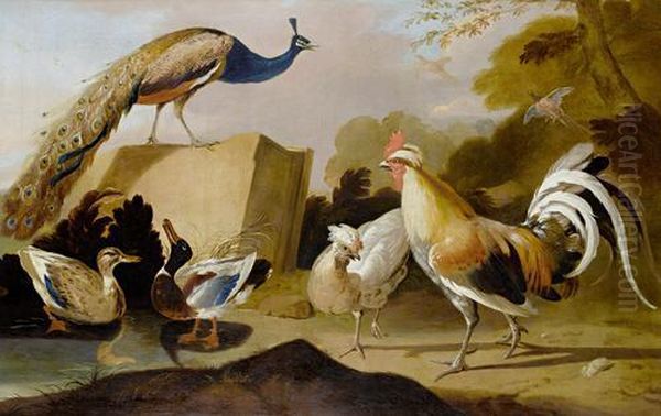 Peacock, Ducks And Chickens In An Open Landscape Oil Painting by Melchior de Hondecoeter