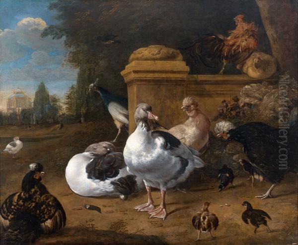 Animaux De Basse-cour Oil Painting by Melchior de Hondecoeter