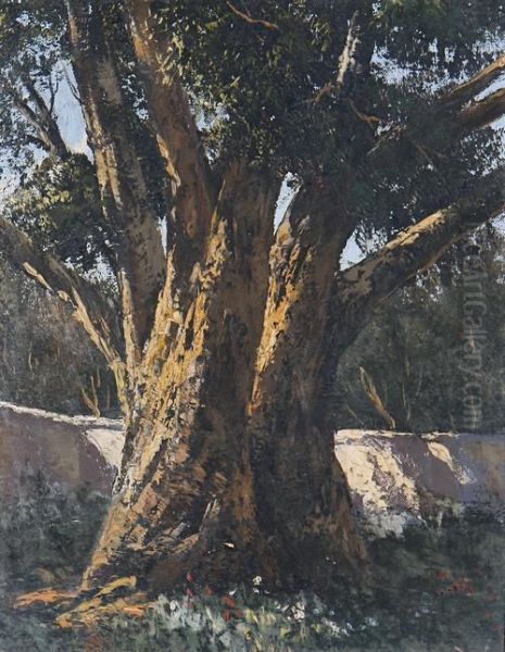 The Old Tree Oil Painting by Tinus De Jong