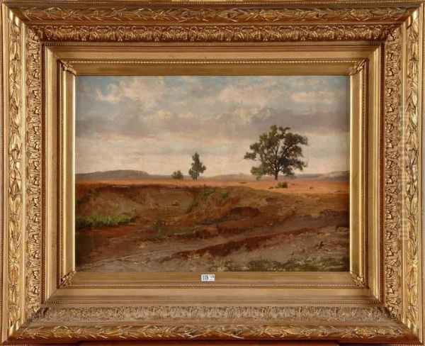 Terrains En Bruyere Oil Painting by Alfred De Knyff