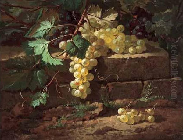 < Grappe De Raisin >. Oil Painting by Edmond De Koninck