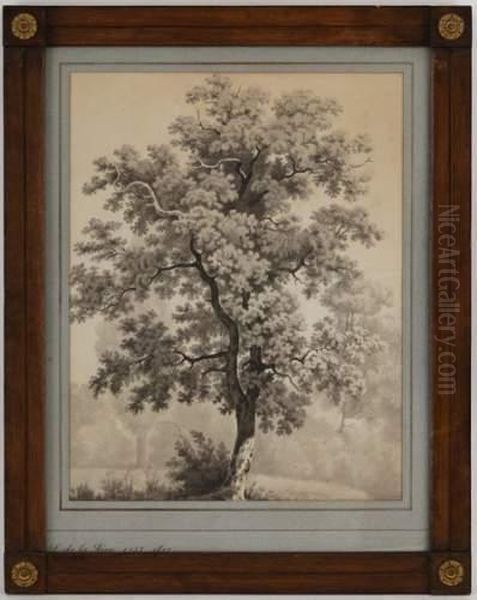 Arbre Dans Un Paysage Oil Painting by Pierre Louis De La Rive