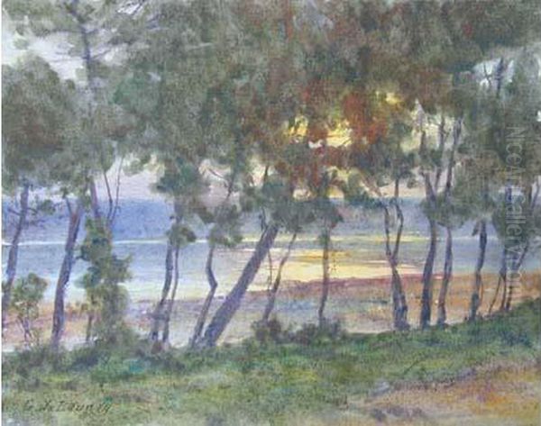 Soleil Couchant Derriere Les Pins Oil Painting by Gustave De Launay