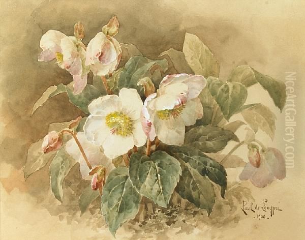 Pink And White Cyclamen Oil Painting by Paul De Longpre