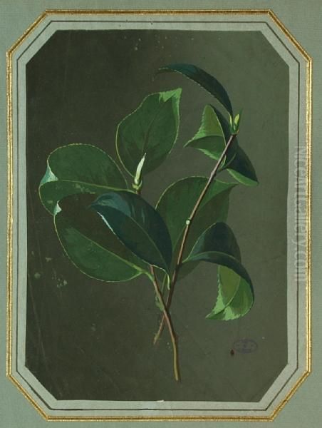 Gardenia Leaves Oil Painting by Paul De Longpre