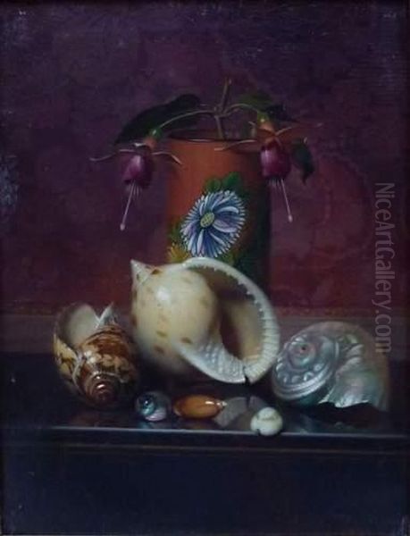 Nature Morte Aux Coquillages Oil Painting by Auguste Joseph Marie De Mersseman