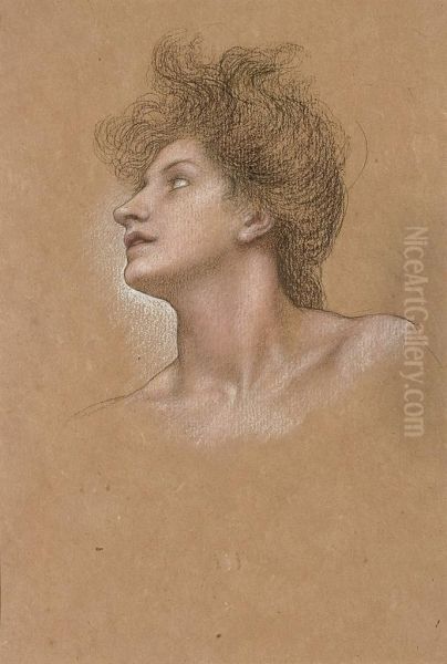 Study Of A Woman's Head Oil Painting by Evelyn Pickering De Morgan