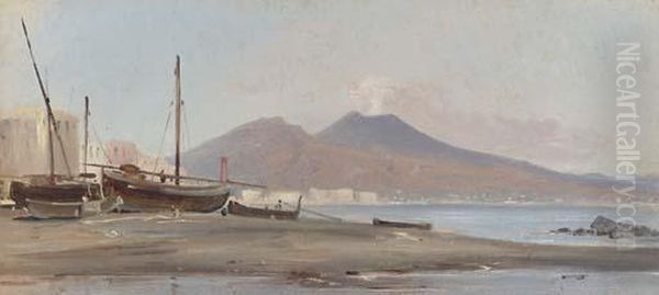 Fishing Boats Along The Sorrentine Coast With A View Of Mountvesuvius Oil Painting by Alphee De Regny