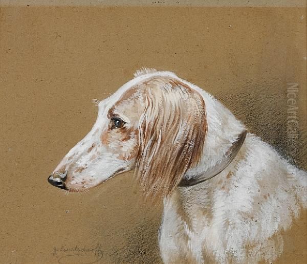 Head A Saluki Oil Painting by Georges De Swertschkoff