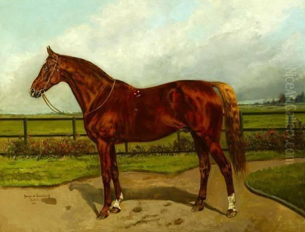 Chestnut Stallion, Enfield