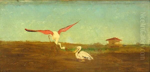 A Flamingo And A Pelican Oil Painting by Charles Emile Vacher De Tournemine