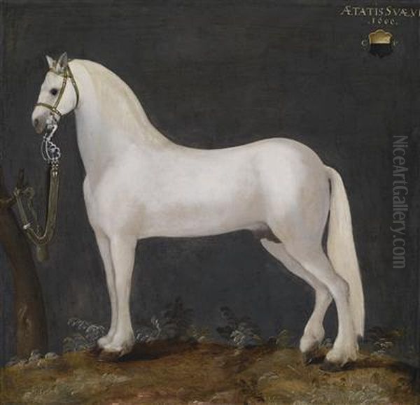 A Lipizzan Horse Oil Painting by Dirck de Quade Van Ravesteyn