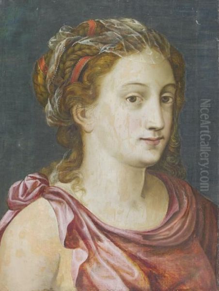 Portrait Of A Lady, Bust-length, In Classical Dress Oil Painting by Maarten de Vos