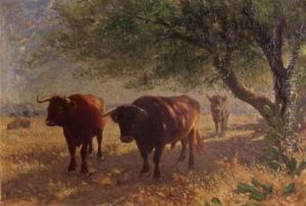 Cattle Grazing Oil Painting by Felix Dominique De Vuillefroy