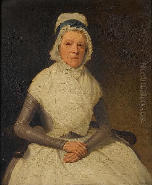 Portrait Of An Elderly Lady Seated Oil Painting by Samuel de Wilde