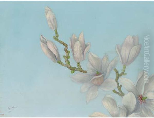 A Twig Of Magnolia Oil Painting by Adrianus Joh. Jac. De Winter