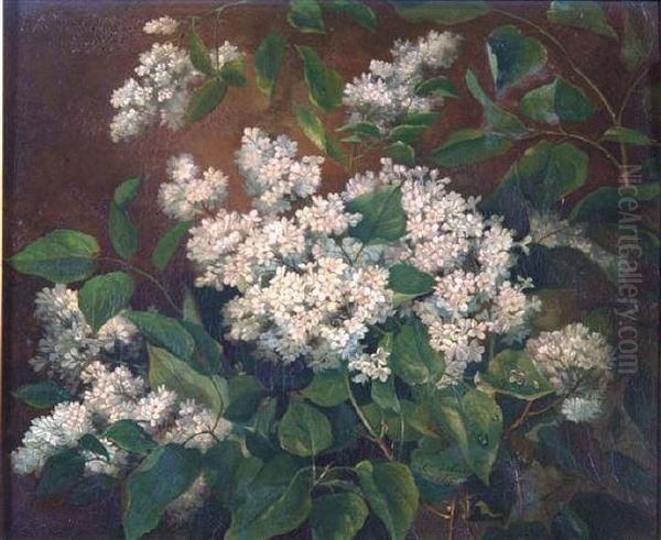 A Study Of White Lilac With Raindrops Oil Painting by Alexandre Debrus