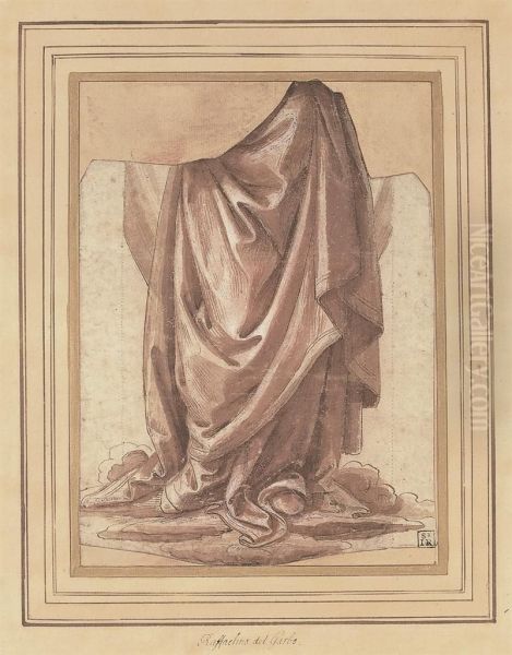 Study Of Drapery Oil Painting by Raffaellino del Garbo