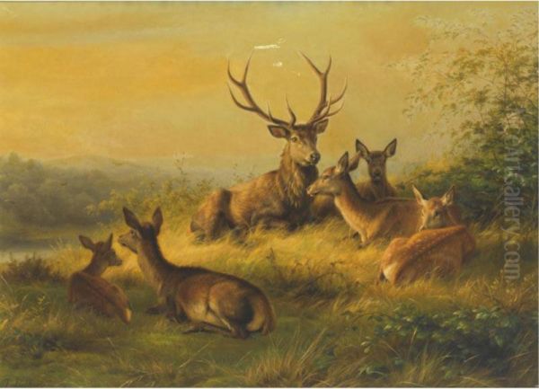 A Stag And Does Resting In A Landscape Oil Painting by Johannes Christian Deiker