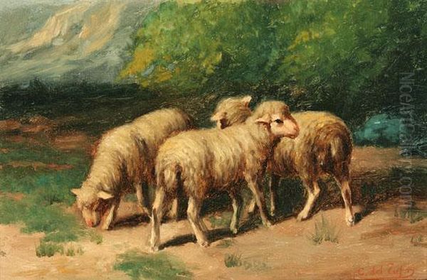 Sheep Grazing Oil Painting by C Del Zufo