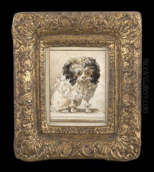 Portrait Of A Wide-eyed Poodle Oil Painting by Jacques Barthelemy Delamarre