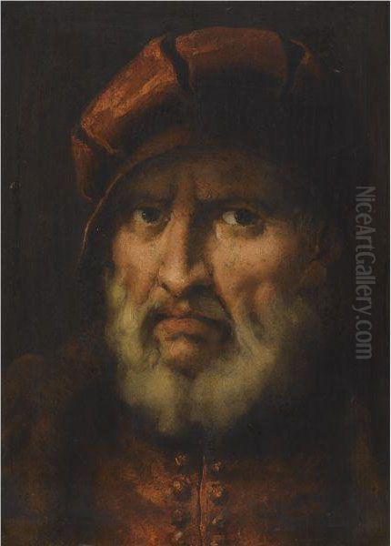 Head Of A Bearded Man, Wearing A Red Cap And Red Shirt Oil Painting by Pietro Della Vecchio