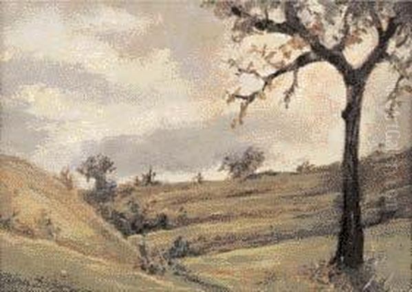 Paesaggio Collinare Oil Painting by Nina Delleani