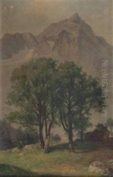 Der Ahornwald In Tirol Oil Painting by Franz Demel