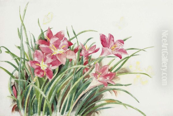 Pink Lilies And Butterflies Oil Painting by Charles Demuth