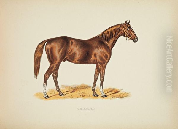 Les Chevaux De Course : Pedigree, Description,historique. Oil Painting by Georges Des Farges