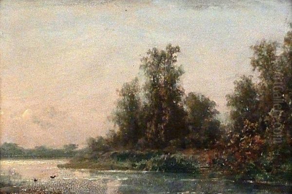 Solitude. Paysage Au Bord Dun Lac Hollandais Oil Painting by Johannes Josephus Destree