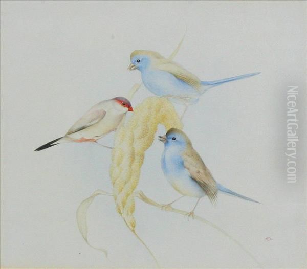 Studyof Three Finches Perced On An Ear Of Corn Oil Painting by Charles Maurice Detmold