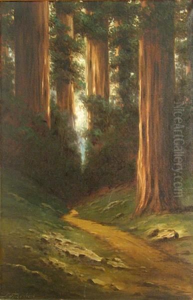 Path Through The Redwoods Oil Painting by Richard Detreville