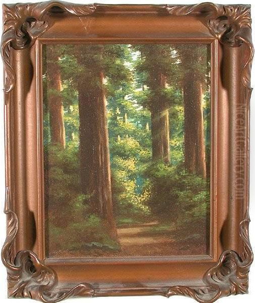 California Redwoods Oil Painting by Richard Detreville