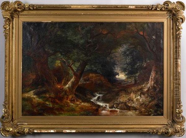 Wooded Landscape With Stream Oil Painting by Francis Daniel Devlan