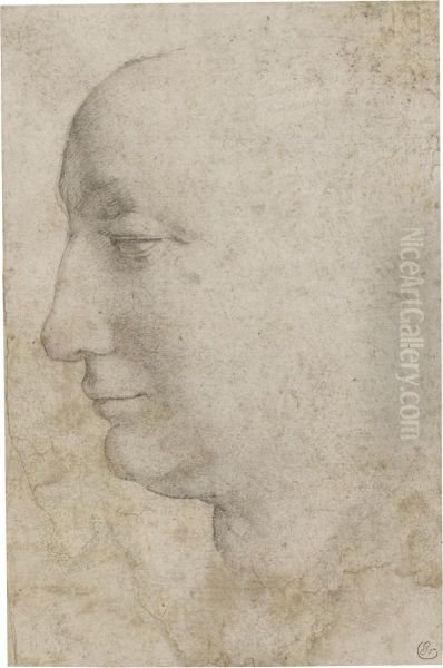 Head Of A Woman Seen In Profile, Looking To The Left Oil Painting by Agnolo Bronzino