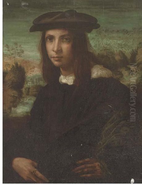 Portrait Of A Young Man Oil Painting by Fiorentino Rosso