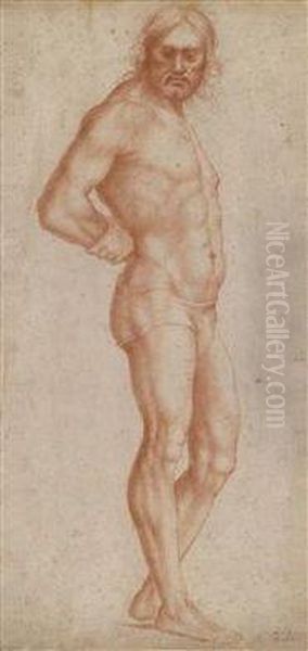 Study Of A Man Standing Oil Painting by Giovanni Antonio Sogliani