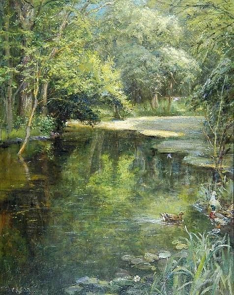 Woodland River With Ducks And Waterlilies Oil Painting by Frank Dickson